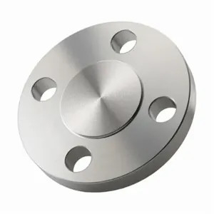 Blind Flange Plate 300# ANSI Raised Face RF 304L Stainless Steel 304 Flange