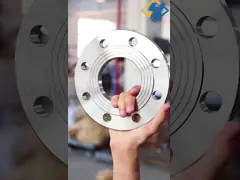 Class 300 Stainless Steel Flanges Welding Flange Ss304 Flat Plain